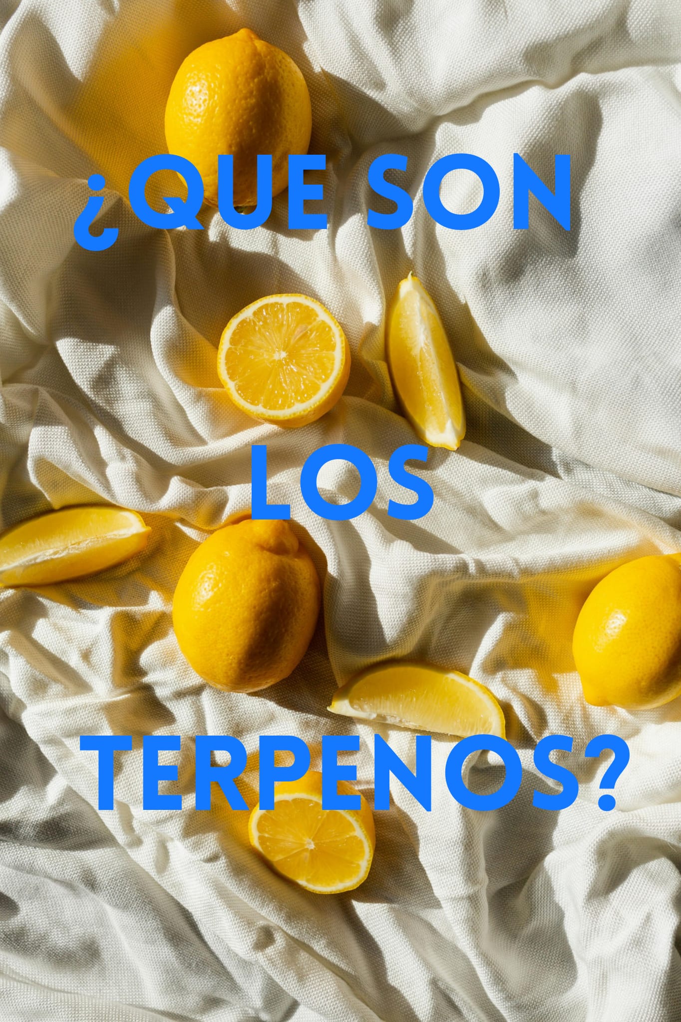 lemon sobre una toalla color crema con texto: que son los terpenos?