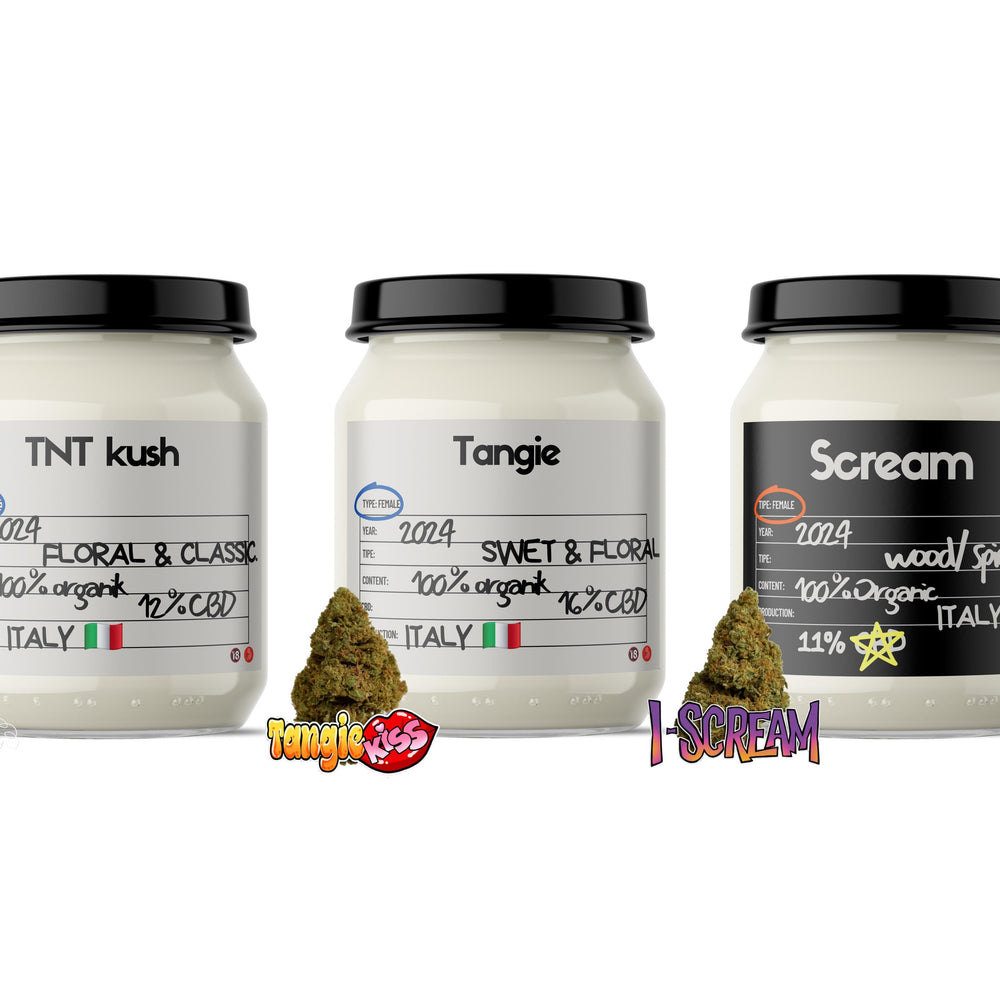 Colección POP CORN The Green Muse CBD Tarro de Vidrio 30 GRAMOS TOTAL