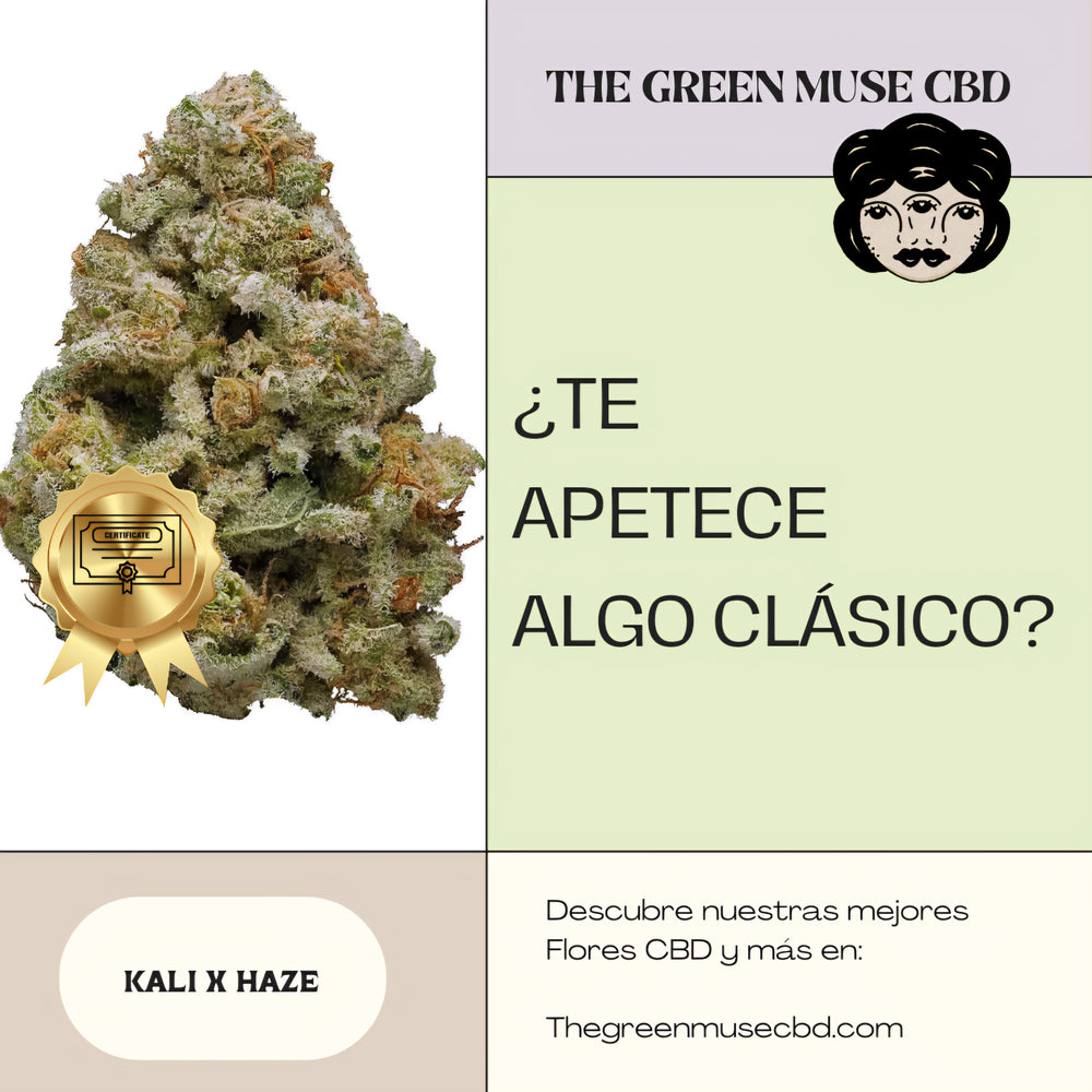 Flor Cali X Haze CBD ALTO