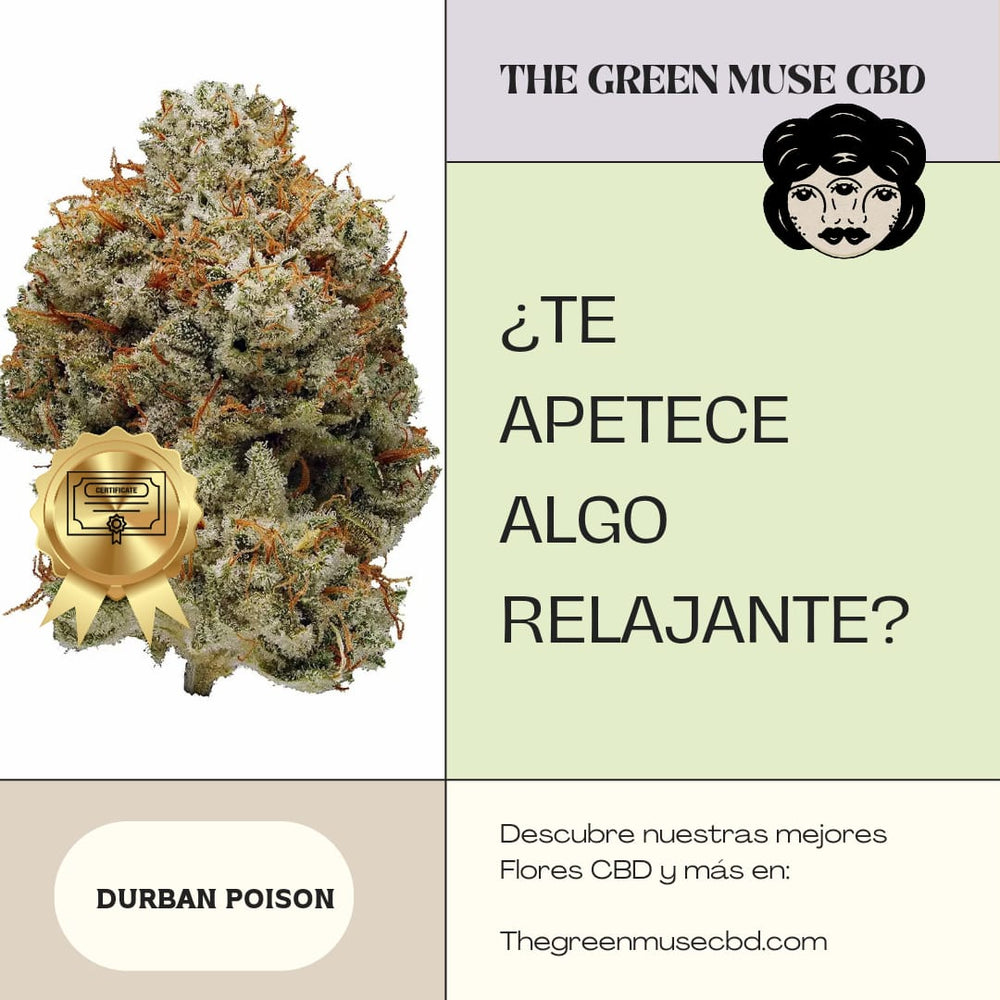 Flor Cali Durban Poison CBD ALTO