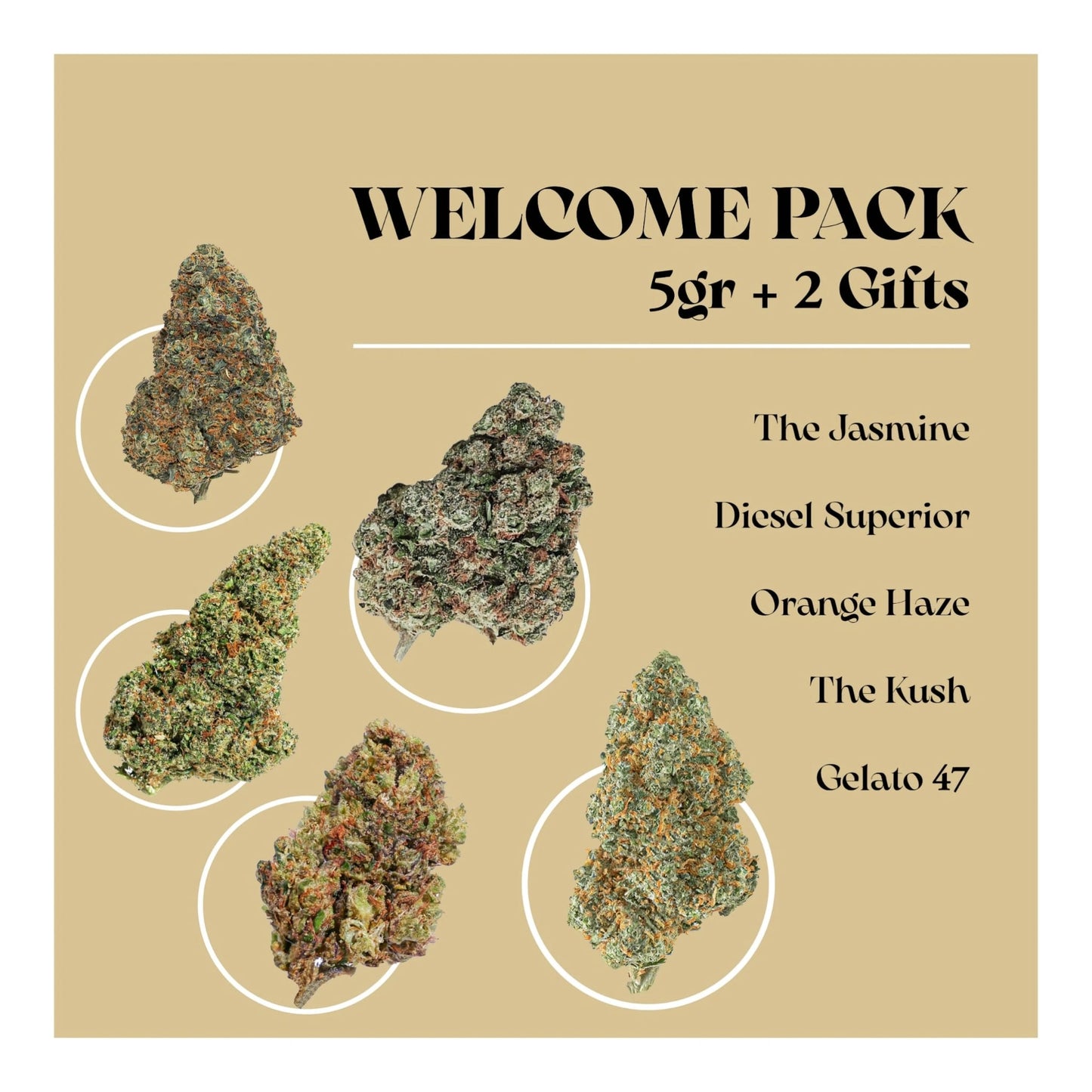 5 flores de cannabis cbd the green muse cbd  welcome pack 5 gramos mas 2 gramos en regalo codigo welcomemuse envios gratis en espana y envio gratis siempre con pedido 70 euro 