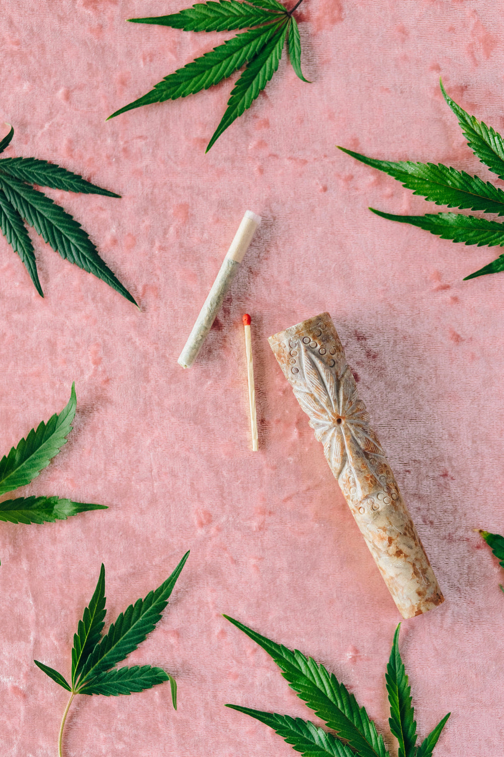 joint flor cbd hecho sobre una mesa rosa con ojas de cannabis