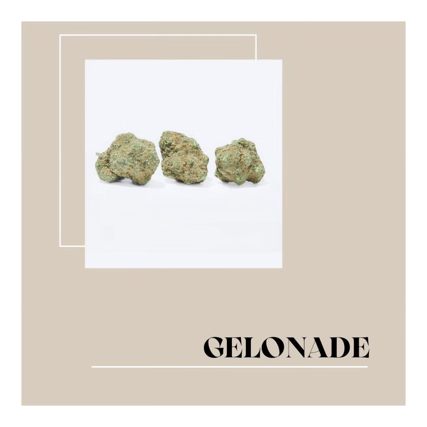 
                  
                    cogollo flor cannabis cbd the green muse gelonade
                  
                